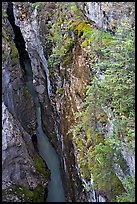 Marble Canyon 36 meter deep narrow gorge. Kootenay National Park, Canadian Rockies, British Columbia, Canada