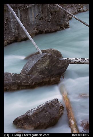 Fallen trees in silt-colored Tokkum Creek. Kootenay National Park, Canadian Rockies, British Columbia, Canada (color)