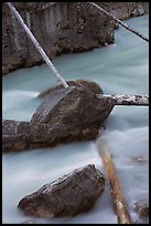 Fallen trees in silt-colored Tokkum Creek. Kootenay National Park, Canadian Rockies, British Columbia, Canada