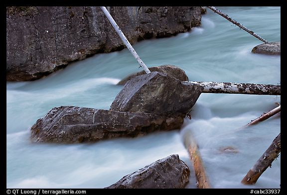 Boulders and fallen trees in silt-colored Tokkum Creek. Kootenay National Park, Canadian Rockies, British Columbia, Canada