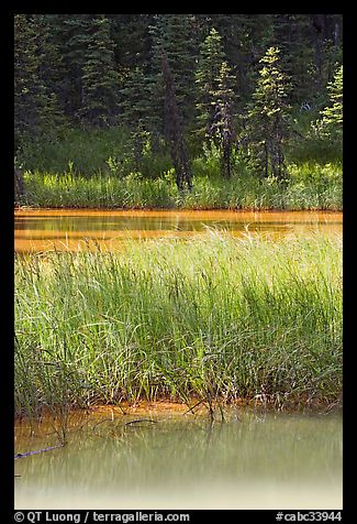 Two of the Paint Pots with mineral-colored water. Kootenay National Park, Canadian Rockies, British Columbia, Canada