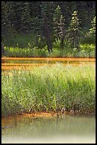 Two of the Paint Pots with mineral-colored water. Kootenay National Park, Canadian Rockies, British Columbia, Canada (color)