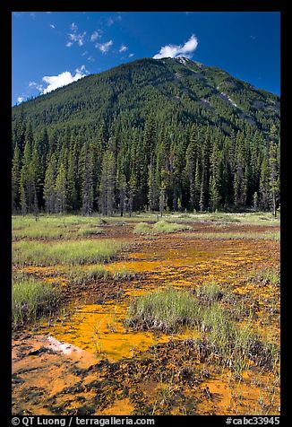 Red and yellow colored clay ochre bed at the base of forested hill. Kootenay National Park, Canadian Rockies, British Columbia, Canada (color)