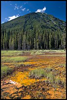 Red and yellow colored clay ochre bed at the base of forested hill. Kootenay National Park, Canadian Rockies, British Columbia, Canada