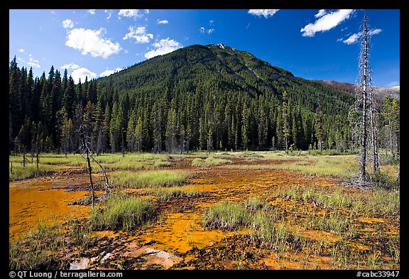 Yellow and red mud ochre bed, sacred to First Nations. Kootenay National Park, Canadian Rockies, British Columbia, Canada (color)