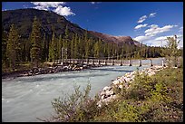 Suspension bridge spanning the Vermillion River. Kootenay National Park, Canadian Rockies, British Columbia, Canada ( color)