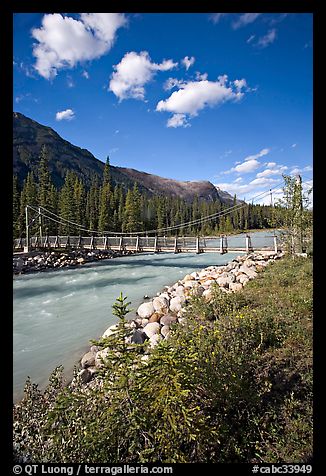 Suspension bridge crossing the Vermillion River. Kootenay National Park, Canadian Rockies, British Columbia, Canada