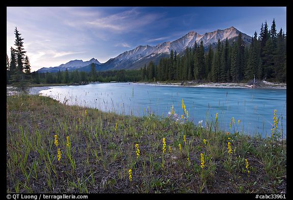 Mitchell range, Kootenay River, and flowers, sunset. Kootenay National Park, Canadian Rockies, British Columbia, Canada