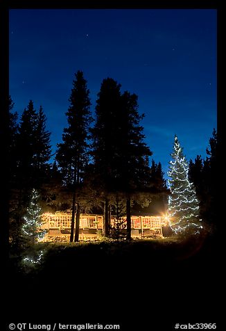 Cabin and illuminated Christmas trees at night. Kootenay National Park, Canadian Rockies, British Columbia, Canada
