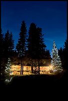 Cabin and illuminated Christmas trees at night. Kootenay National Park, Canadian Rockies, British Columbia, Canada