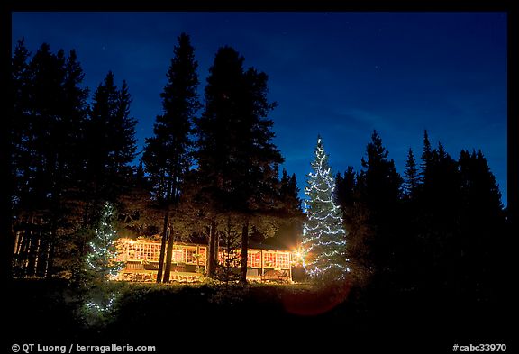 Lit Christmas trees, cabin, and forest at night. Kootenay National Park, Canadian Rockies, British Columbia, Canada