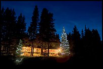 Lit Christmas trees, cabin, and forest at night. Kootenay National Park, Canadian Rockies, British Columbia, Canada