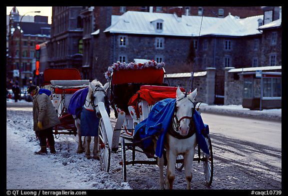 Horse carriage in winter, Montreal. Quebec, Canada (color)