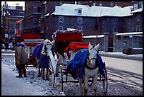 Horse carriage in winter, Montreal. Quebec, Canada ( color)