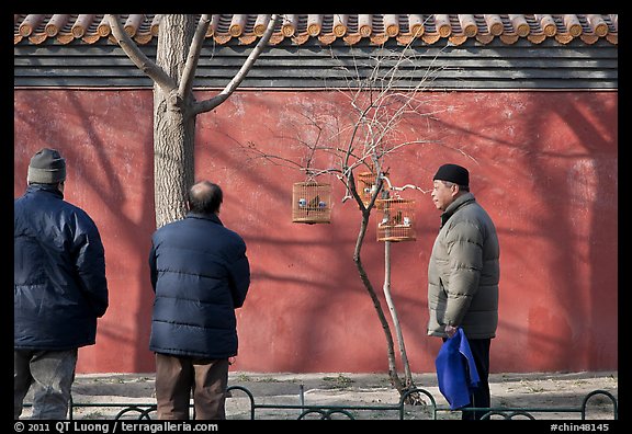 Bird market along red wall. Beijing, China (color)