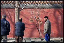Bird market along red wall. Beijing, China (color)