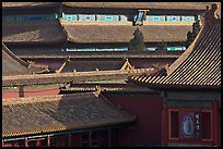 Rooftops details, Forbidden City. Beijing, China (color)