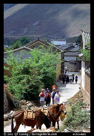 Village street leading to the market. Shaping, Yunnan, China (color)