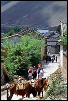 Village street leading to the market. Shaping, Yunnan, China