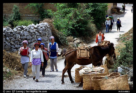 Village street leading to the market. Shaping, Yunnan, China