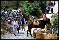 Village street leading to the market. Shaping, Yunnan, China (color)