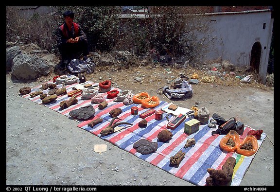 Selling strange items. Shaping, Yunnan, China