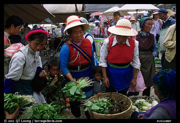 Bai women buying vegetables at the Monday market. Shaping, Yunnan, China (color)