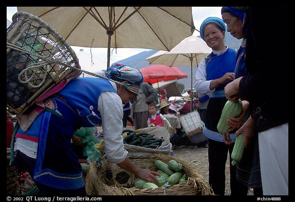 Bai tribeswomen buy vegetables at Monday market. Shaping, Yunnan, China (color)