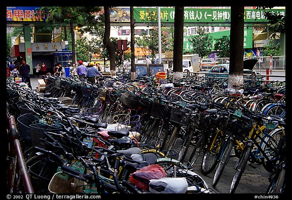 Bicycle parking lot. Kunming, Yunnan, China