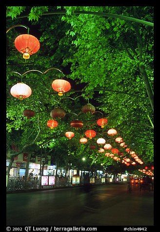 Zhengyi Lu illuminated by lanterns at night. Kunming, Yunnan, China (color)