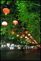 Zhengyi Lu illuminated by lanterns at night. Kunming, Yunnan, China (color)