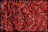 Red peppers. Dali, Yunnan, China ( color)