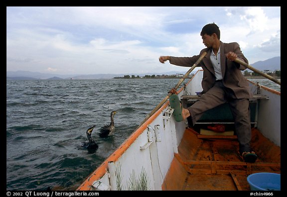 Cormorant fisherman sends out his birds. Dali, Yunnan, China