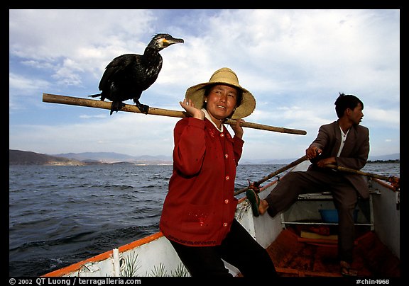 Aboard a cormorant fishing boat. Dali, Yunnan, China (color)