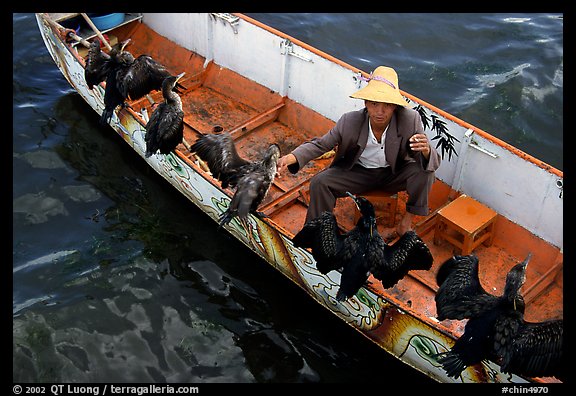 Fisherman talks to his cormorants at the end of fishing session. Dali, Yunnan, China