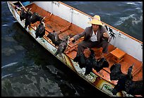 Fisherman talks to his cormorants at the end of fishing session. Dali, Yunnan, China