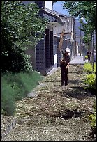 Grain being dried on the street. Dali, Yunnan, China (color)