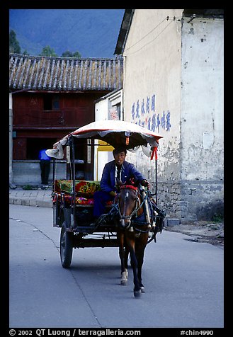 House carriage in a street. Dali, Yunnan, China (color)