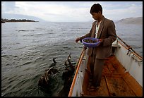 Cormorant fisherman feeds small fish to his birds as a prize for catching large fish. Dali, Yunnan, China