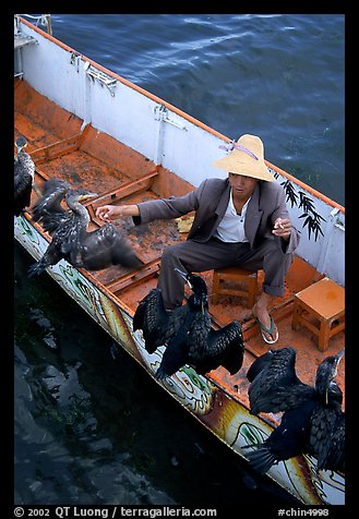 Fisherman talks to his cormorant fishing birds. Dali, Yunnan, China