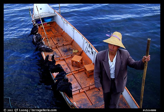 Cormorant Fisherman in a boat with his fishing birds. Dali, Yunnan, China