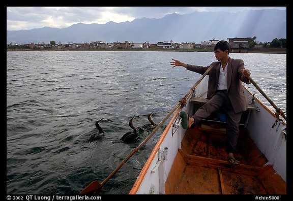 Cormorant Fisherman gives orders to his  fishing birds. Dali, Yunnan, China