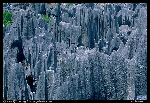 Maze of grey limestone pinnacles and peaks of the Stone Forst. Shilin, Yunnan, China (color)