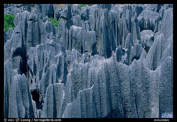 Maze of grey limestone pinnacles and peaks of the Stone Forst. Shilin, Yunnan, China (color)