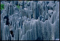 Maze of grey limestone pinnacles and peaks of the Stone Forst. Shilin, Yunnan, China