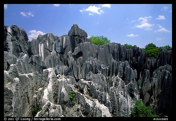 Details of the grey limestone pinnacles of the Stone Forst. Shilin, Yunnan, China (color)