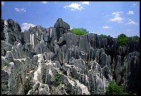 Details of the grey limestone pinnacles of the Stone Forst. Shilin, Yunnan, China