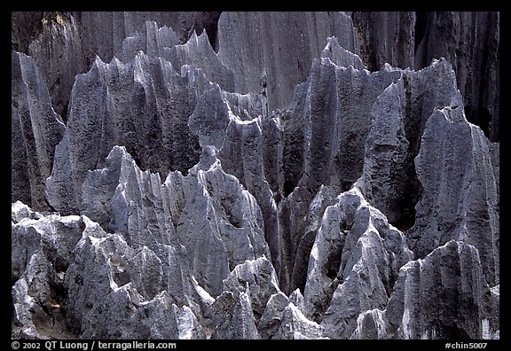 Details of grey limestone pinnacles of the Stone Forst. Shilin, Yunnan, China