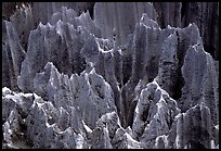 Details of grey limestone pinnacles of the Stone Forst. Shilin, Yunnan, China