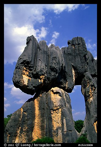 Opening in a limestone formation of the Stone Forest. Shilin, Yunnan, China (color)